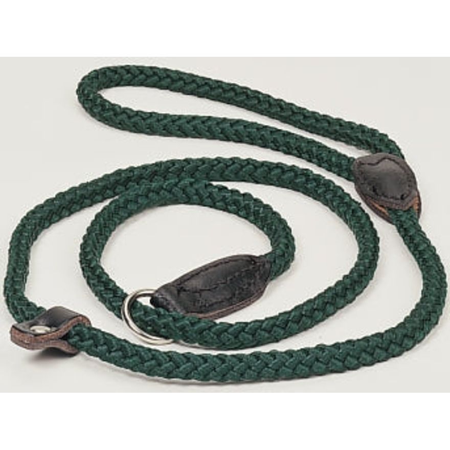 Napier dog lead